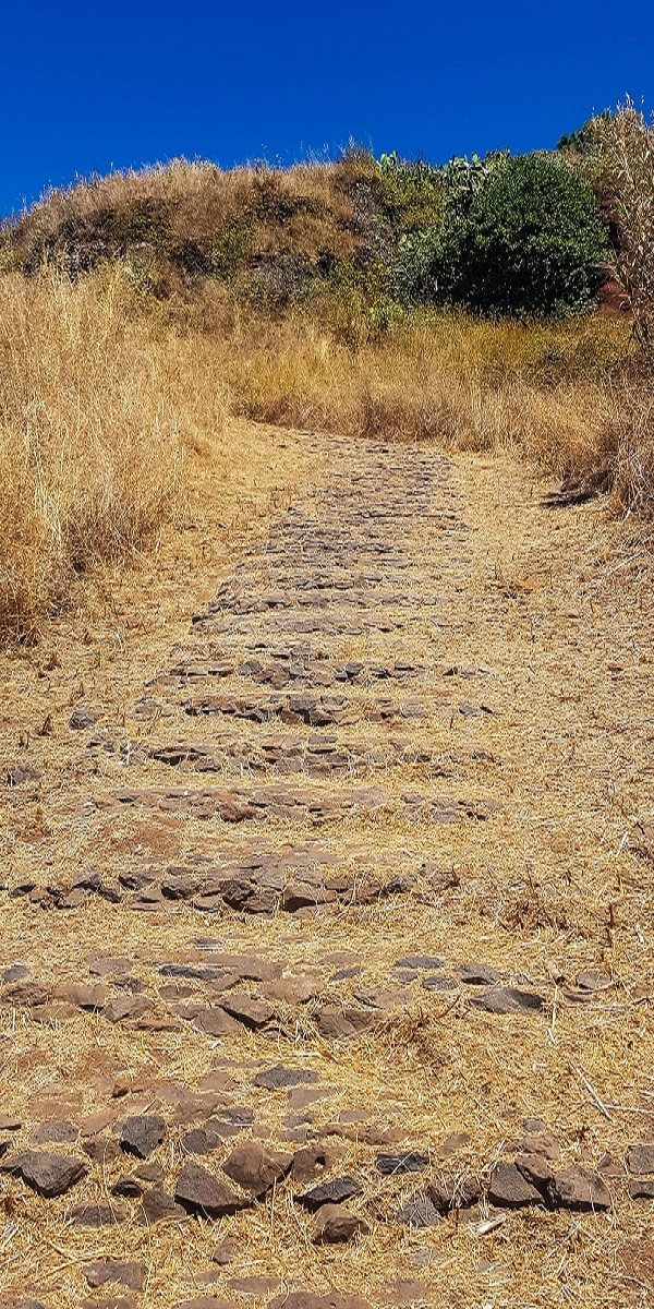 7 August 2021 A relaxed circuit around Paul do Mar — Climb on the Vereda da Atalaia — photo 11