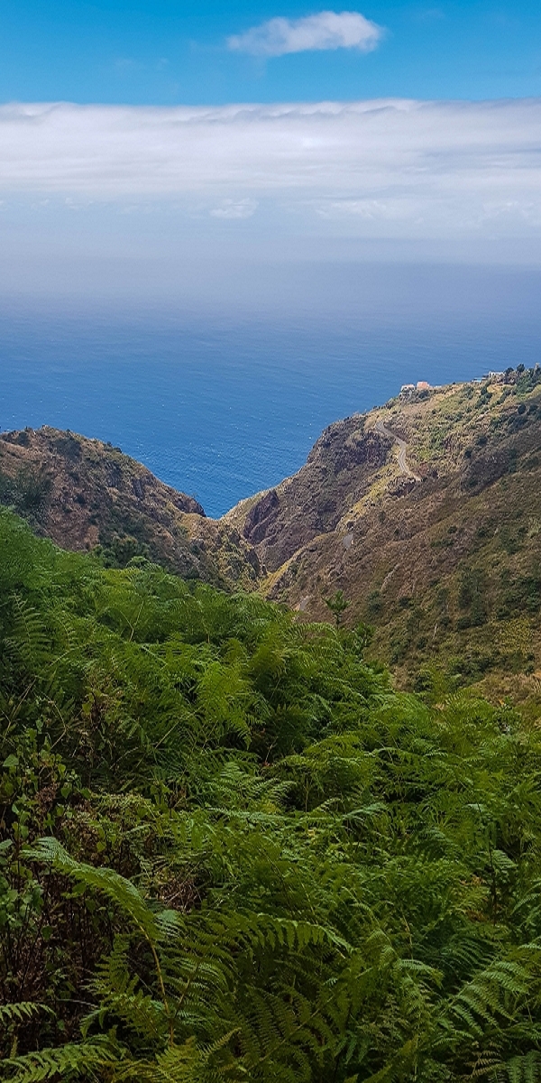 7 August 2021 A relaxed circuit around Paul do Mar — From Raposeira to the Travessa da Igreja — photo 4