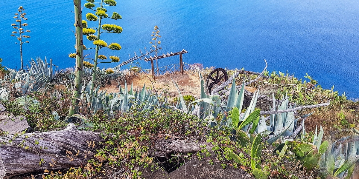 7 August 2021 A relaxed circuit around Paul do Mar — Descent on the CR23 from Faja da Ovelha to Paul do Mar — photo 4