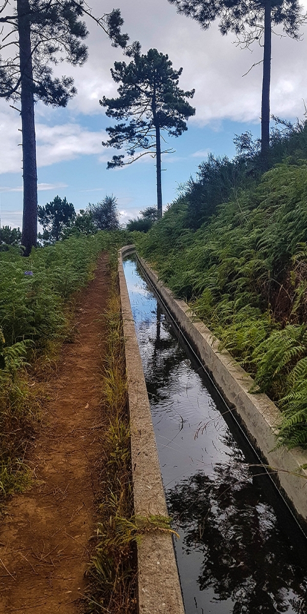 Levada Nova — Abschnitt zwischen Faja da Ovelha und Lombada dos Marinheiros — Foto 1