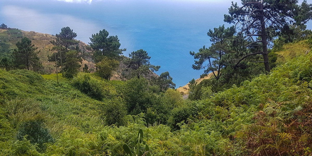 Levada Nova — Abschnitt zwischen Faja da Ovelha und Lombada dos Marinheiros — Foto 2