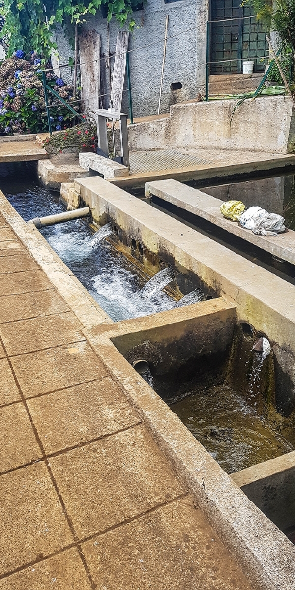Levada Nova — Abschnitt zwischen Faja da Ovelha und Lombada dos Marinheiros — Foto 3