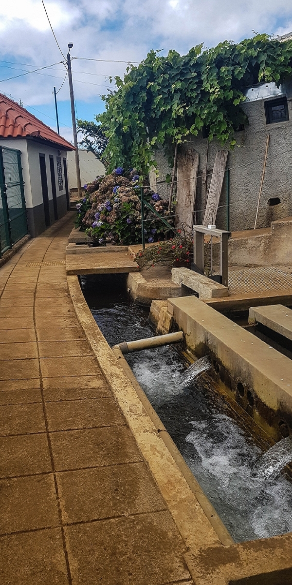 Levada Nova — Abschnitt zwischen Faja da Ovelha und Lombada dos Marinheiros — Foto 5