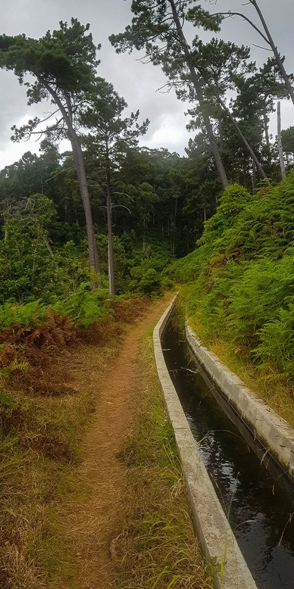 Levada Nova — Abschnitt zwischen Faja da Ovelha und Lombada dos Marinheiros — Foto 6