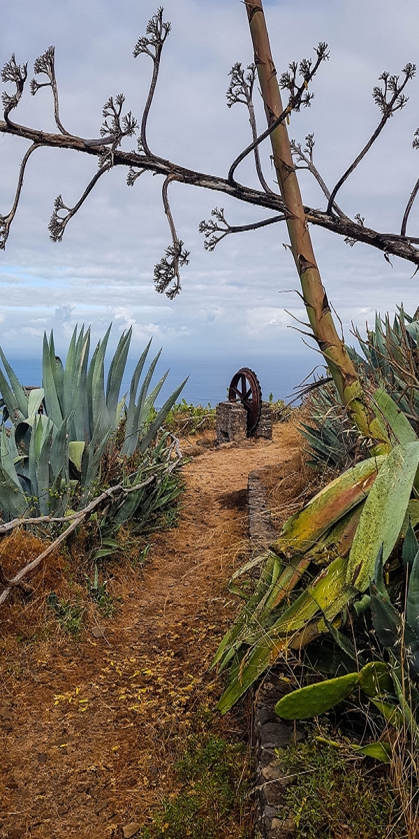 7 August 2021 A relaxed circuit around Paul do Mar — Descent on the CR23 from Faja da Ovelha to Paul do Mar — photo 7