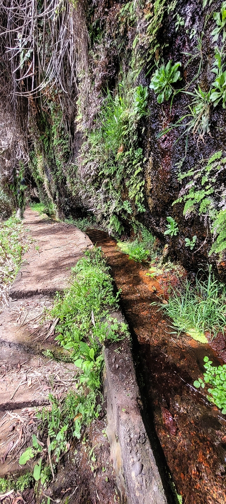 Levada das Fontes — Levada das Fontes — Foto 6