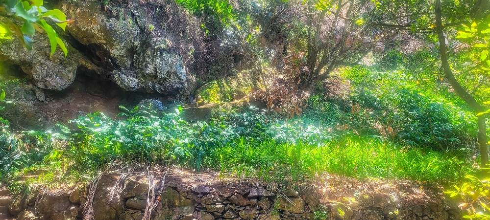 08.06.2024 Auf den Spuren der Trailrunner in Porto Moniz — Ascent to the Miradouro da Santinha — photo 4