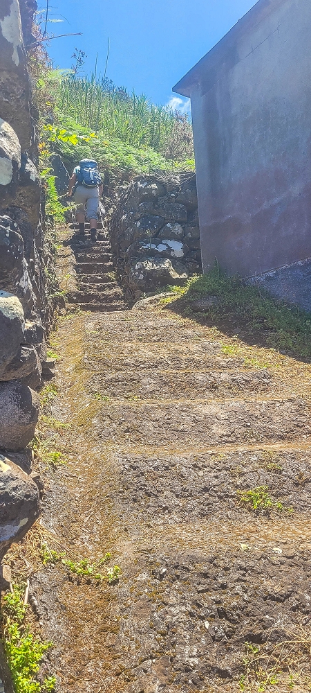 08.06.2024 Auf den Spuren der Trailrunner in Porto Moniz — On to the Levada do Moinho — photo 1