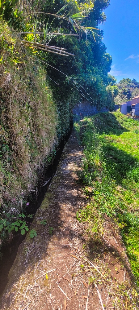 Levada do(s) Moinho(s) — Parallel to the Levada do Brasileiro — photo 30