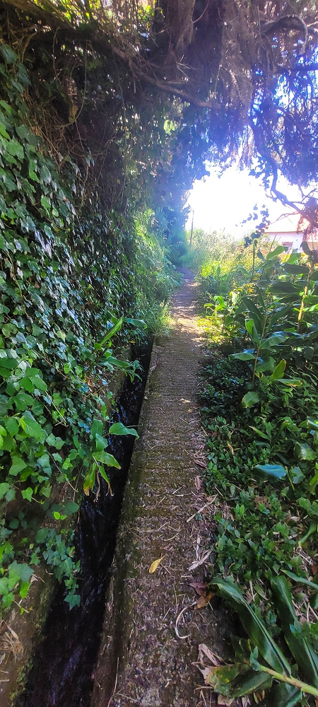 Levada do(s) Moinho(s) — Parallel to the Levada do Brasileiro — photo 28