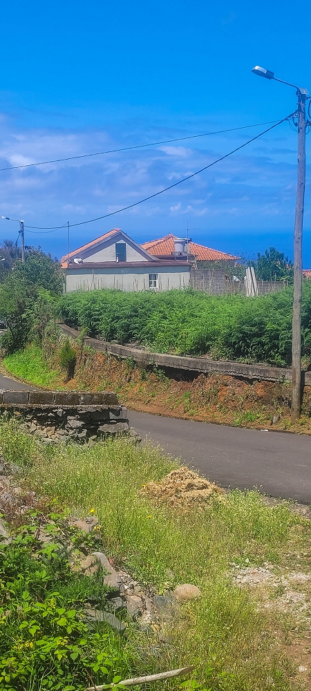 Levada do(s) Moinho(s) — Parallel to the Levada do Brasileiro — photo 26