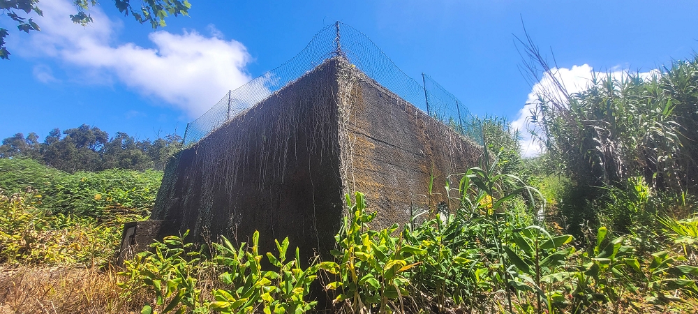 Levada do(s) Moinho(s) — Parallel to the Levada do Brasileiro — photo 22
