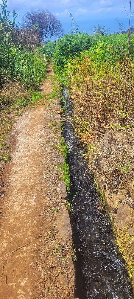 Levada do(s) Moinho(s) — Parallel to the Levada do Brasileiro — photo 21