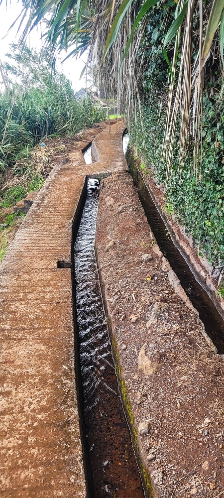 Levada dos Pombais sup. — Até ao Miradouro dos Pombais — foto 14