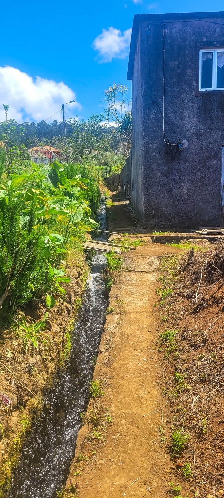 Levada do(s) Moinho(s) — Parallel to the Levada do Brasileiro — photo 20