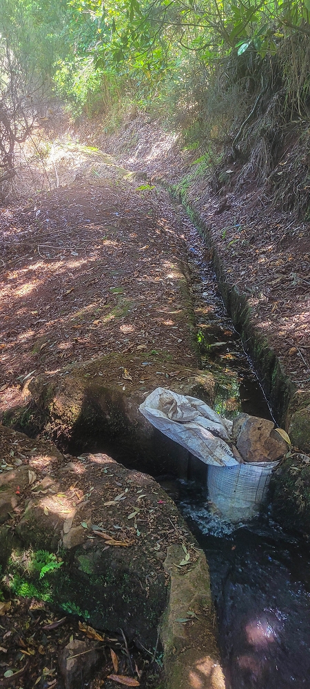 Levada do(s) Moinho(s) — Parallel to the Levada do Brasileiro — photo 14