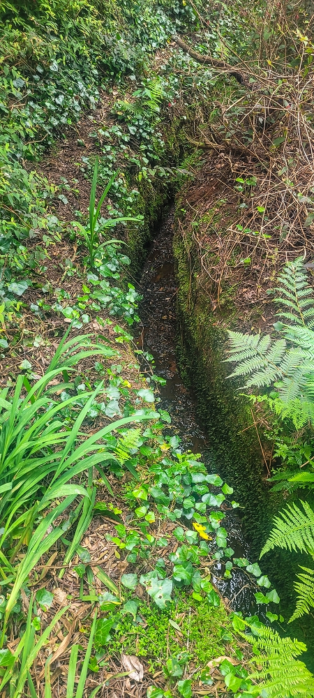 Levada do(s) Moinho(s) — The important branch towards Pombais, with the countless reservoirs — photo 2