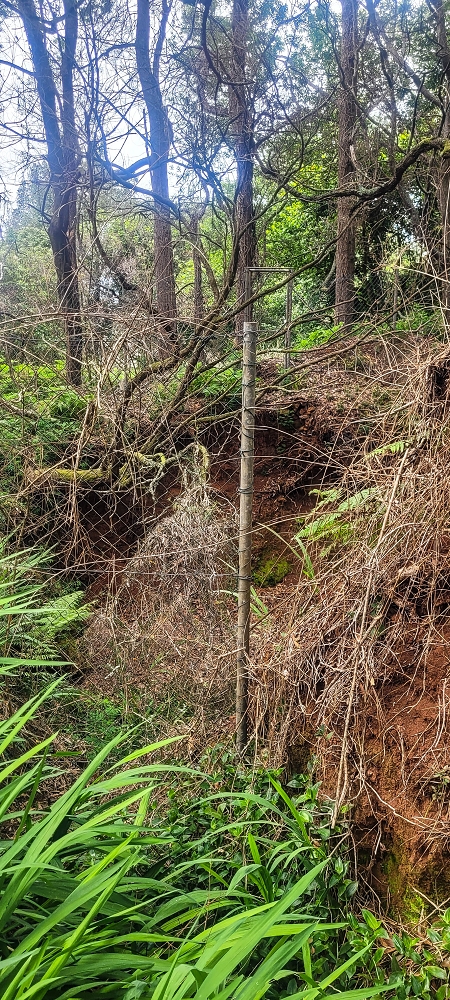 Levada do(s) Moinho(s) — The important branch towards Pombais, with the countless reservoirs — photo 4