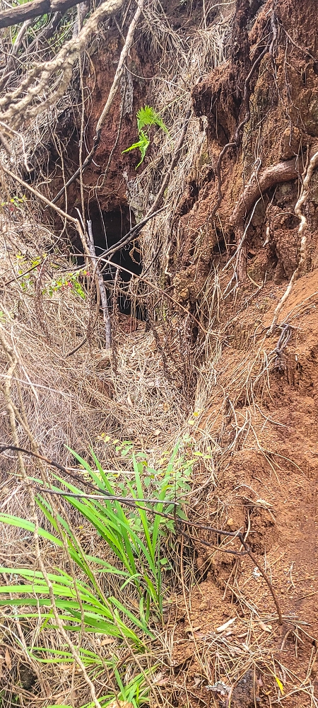Levada do(s) Moinho(s) — The important branch towards Pombais, with the countless reservoirs — photo 5