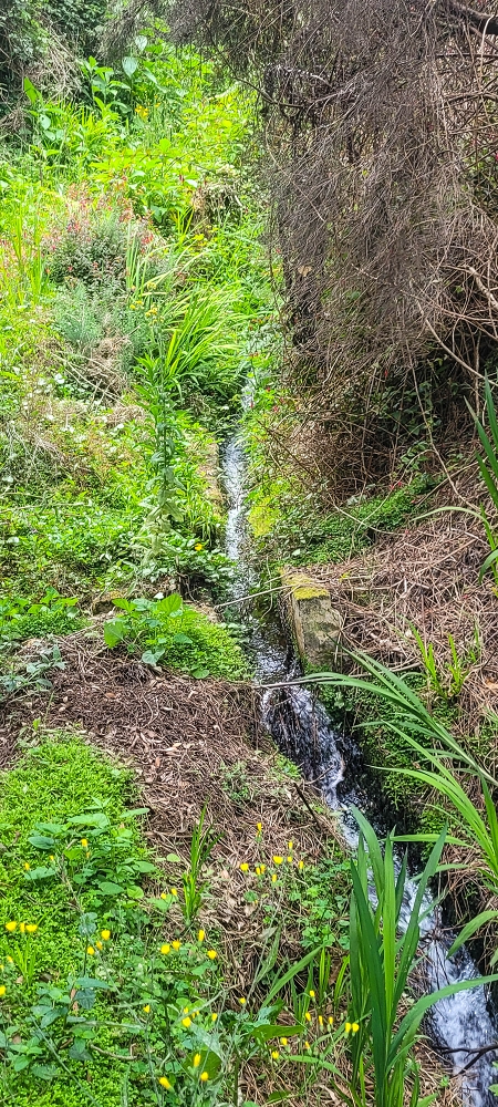 Levada do(s) Moinho(s) — The important branch towards Pombais, with the countless reservoirs — photo 6