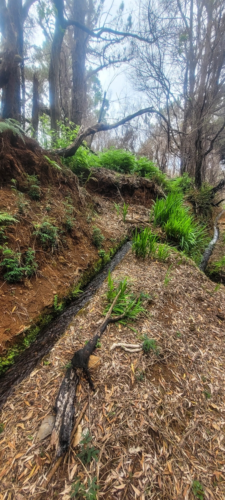 Levada do(s) Moinho(s) — The important branch towards Pombais, with the countless reservoirs — photo 10