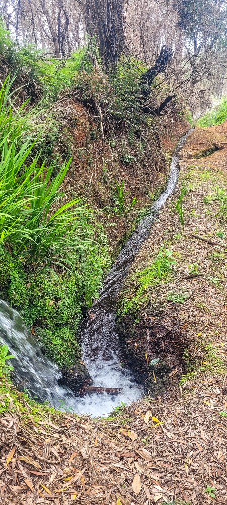 Levada do(s) Moinho(s) — The important branch towards Pombais, with the countless reservoirs — photo 11
