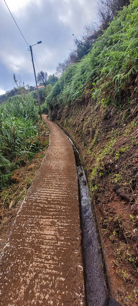 Levada dos Pombais sup. — Até ao Miradouro dos Pombais — foto 16