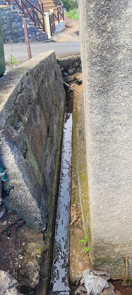 Levada dos Pombais sup. — Até ao Miradouro dos Pombais — foto 19