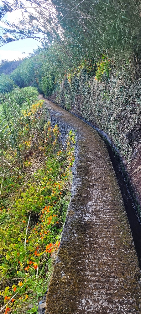 Levada dos Pombais sup. — Até ao Miradouro dos Pombais — foto 21