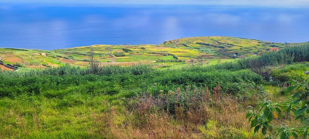 Levada dos Pombais sup. — Até ao Miradouro dos Pombais — foto 22