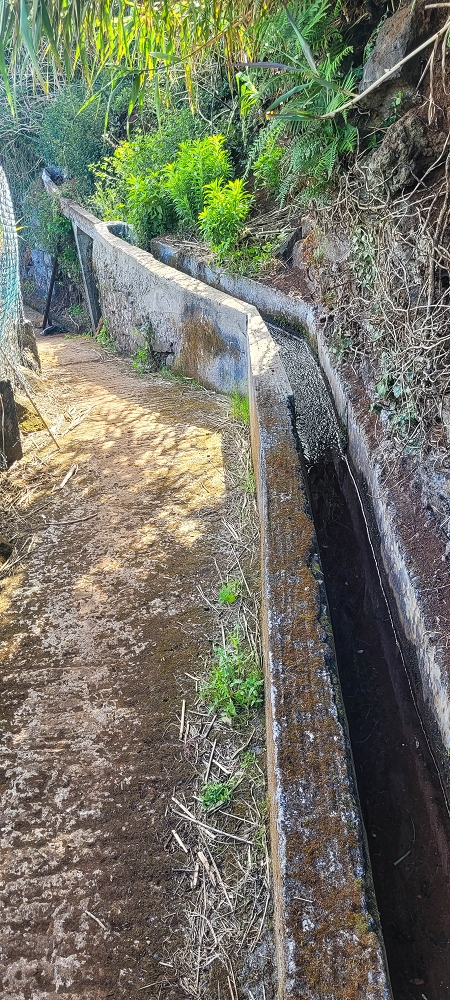 Levada dos Pombais sup. — Até ao Miradouro dos Pombais — foto 24