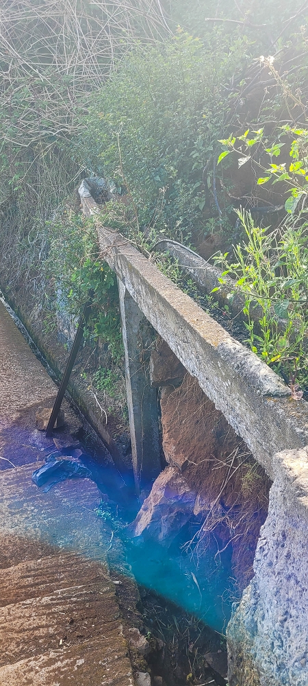 08.06.2024 Auf den Spuren der Trailrunner in Porto Moniz — On the Levada dos Pombais sup. — photo 20