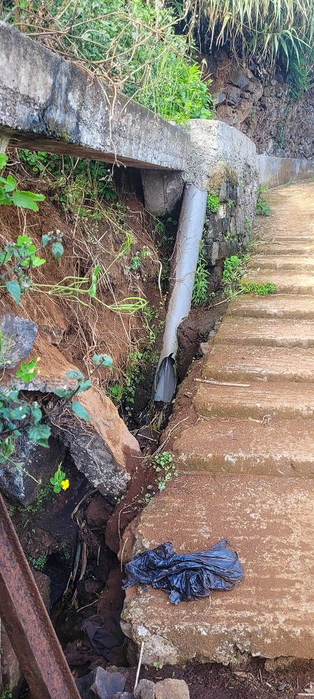 Levada dos Pombais sup. — Até ao Miradouro dos Pombais — foto 25