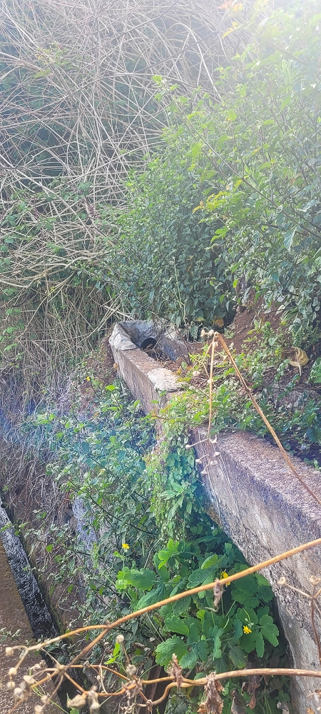 Levada dos Pombais sup. — Até ao Miradouro dos Pombais — foto 26