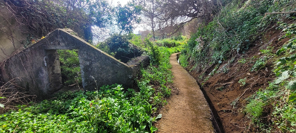 Levada dos Pombais sup. — Até ao Miradouro dos Pombais — foto 27