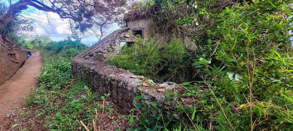 Levada dos Pombais sup. — Até ao Miradouro dos Pombais — foto 28