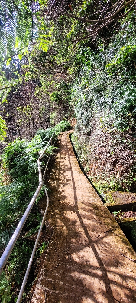 Levada dos Pombais sup. — Até ao Miradouro dos Pombais — foto 31