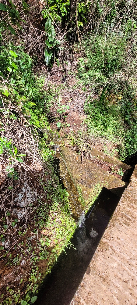Levada dos Pombais sup. — Até ao Miradouro dos Pombais — foto 32