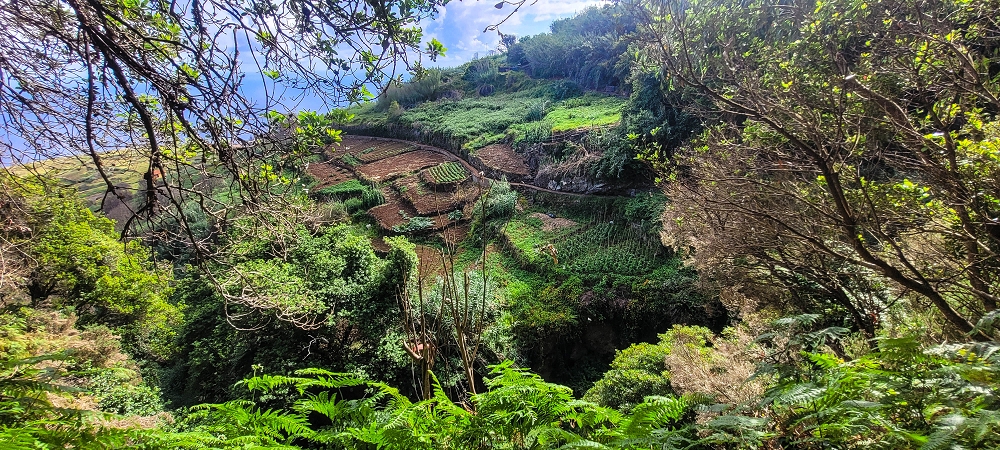 Levada dos Pombais sup. — Até ao Miradouro dos Pombais — foto 33