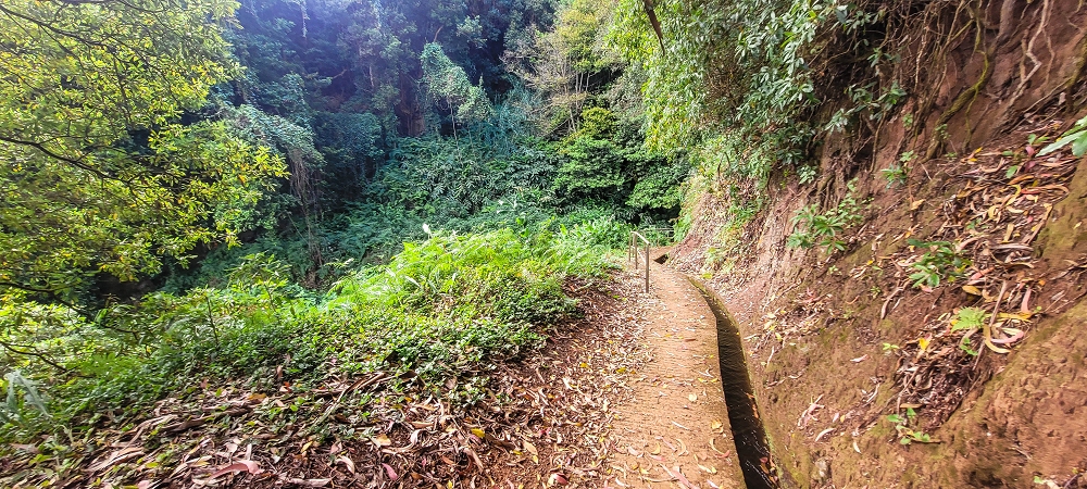 Levada dos Pombais sup. — Até ao Miradouro dos Pombais — foto 34