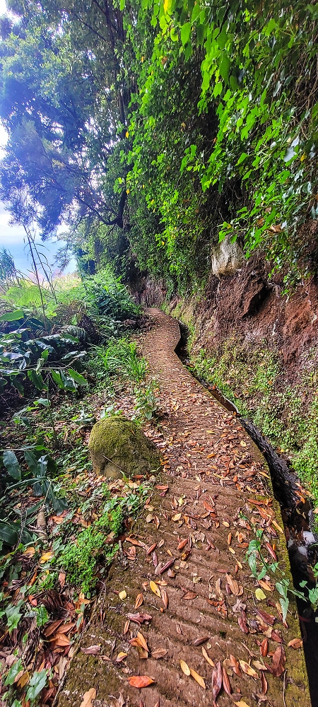 Levada dos Pombais sup. — Até ao Miradouro dos Pombais — foto 38