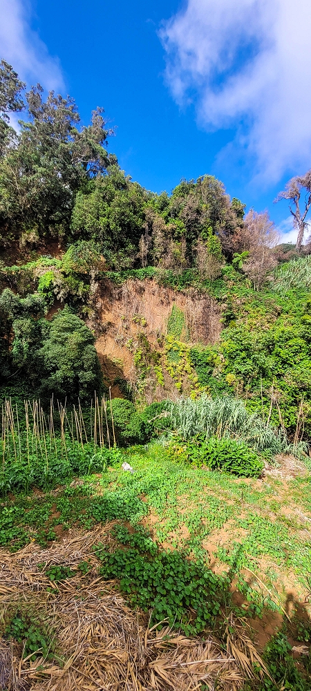 Levada dos Pombais sup. — Até ao Miradouro dos Pombais — foto 39