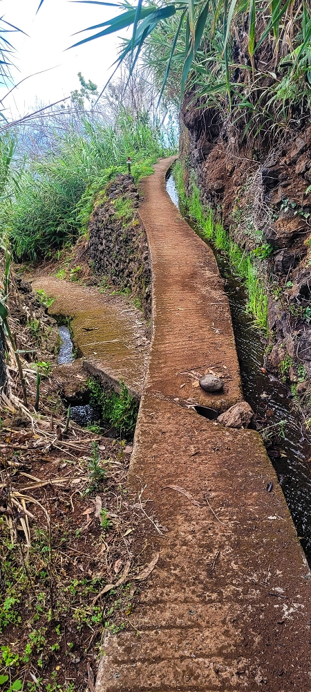 Levada dos Pombais sup. — Até ao Miradouro dos Pombais — foto 40