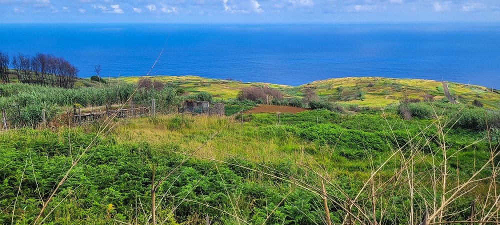 Levada dos Pombais sup. — Até ao Miradouro dos Pombais — foto 41