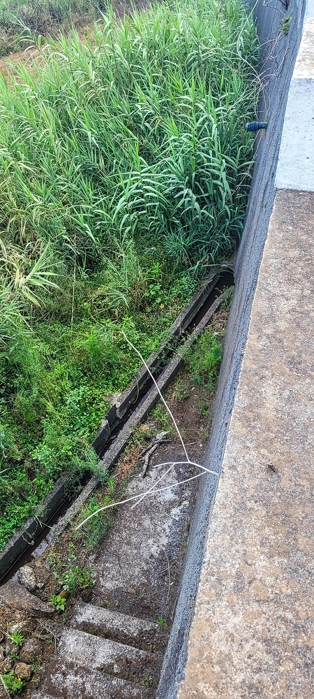Levada dos Pombais sup. — Até ao Miradouro dos Pombais — foto 8