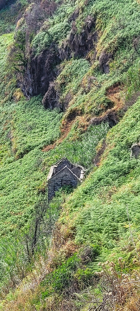 08.06.2024 Auf den Spuren der Trailrunner in Porto Moniz —  Assumada — photo 12