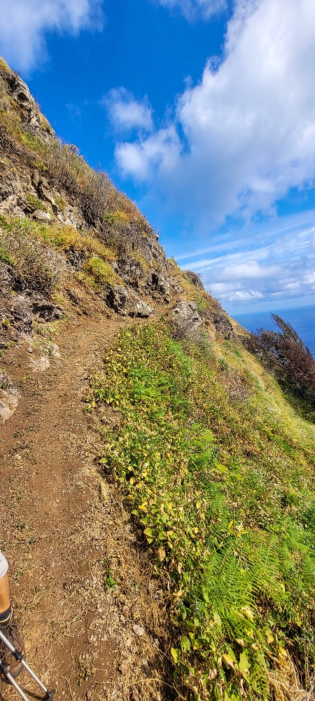 08.06.2024 Auf den Spuren der Trailrunner in Porto Moniz —  Assumada — photo 14