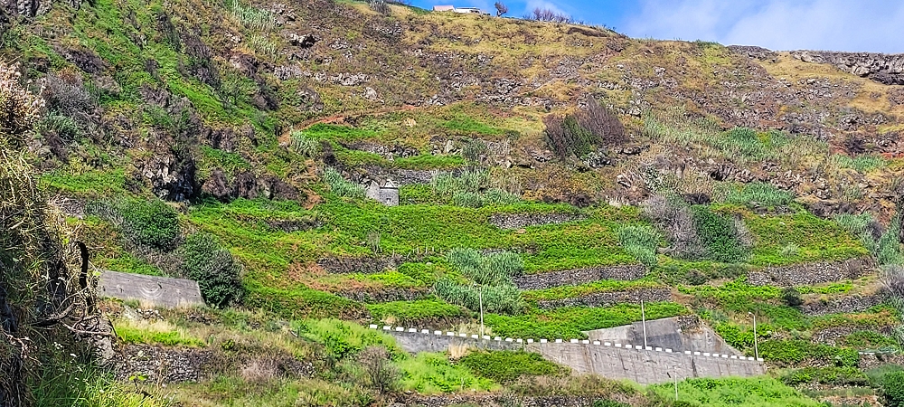 08.06.2024 Auf den Spuren der Trailrunner in Porto Moniz — On to the Miradouro do Pico — photo 1