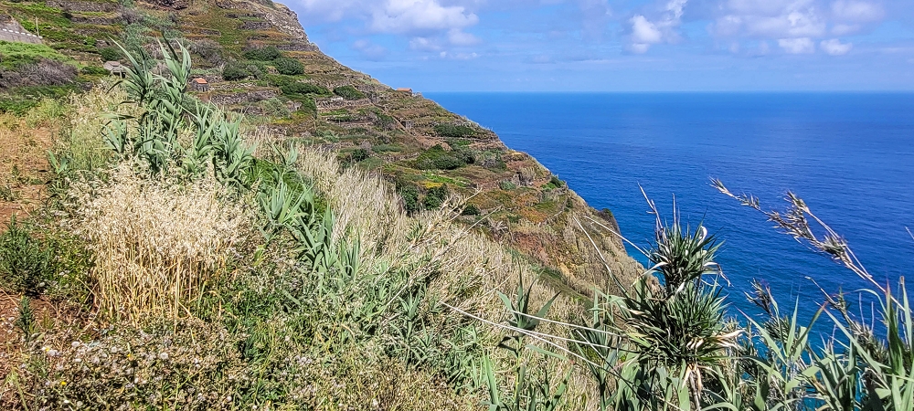 08.06.2024 Auf den Spuren der Trailrunner in Porto Moniz — On to the Miradouro do Pico — photo 2