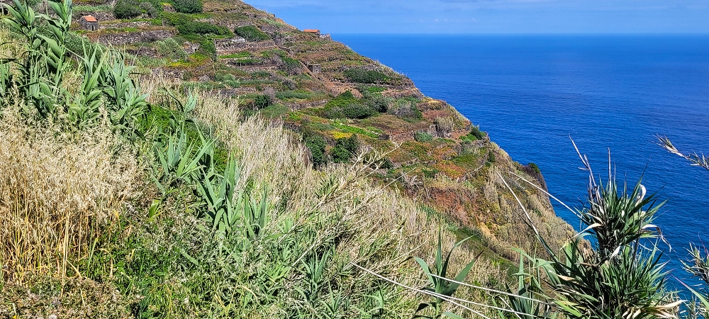 08.06.2024 Auf den Spuren der Trailrunner in Porto Moniz — On to the Miradouro do Pico — photo 3